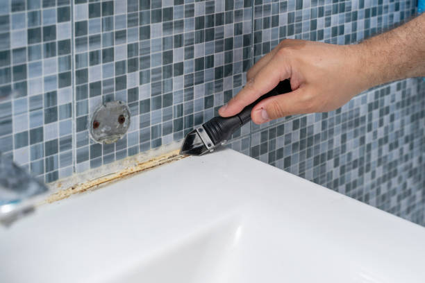 Best Mold Damage Repair  in Norridge, IL